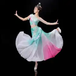 Dai ダンス衣装パフォーマンス衣装女性の新しい雲南省西双版納孔雀 Dai ダンススカート大人の芸術試験衣装