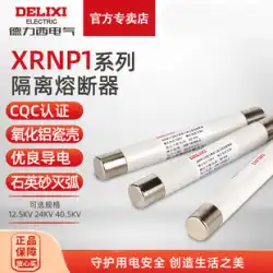 Delixi ヒューズ XRNP1-12 高遮断容量高電圧限流ヒューズ 0.5-1A