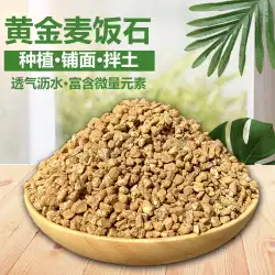 Zhenmei 多肉植物ゴールドソフト医療石粒子栄養価の高い土壌多肉植物の土植木鉢植栽混合土壌敷石送料無料