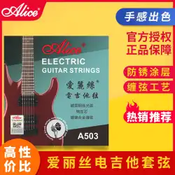ALICE エレキギター弦 A503 SL-009 L-010 仕様あり