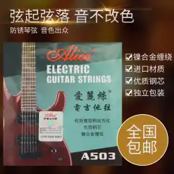 アリスエレキギター弦特別な弦ルース弦ポイントギター単弦セット 123 弦 6 弦のセット A503
