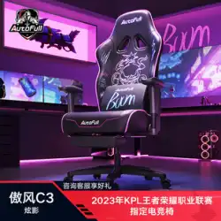 Aofeng E-スポーツチェア C3 人間工学に基づいたチェア E-スポーツチェア ゲーミングチェア 男性と女性用 ホームシート コンピューターチェア 座りがち