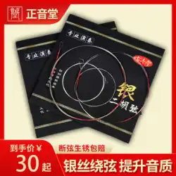 Zhengyintang 二胡弦シルバー弦プロ演奏内弦と外弦、弦アクセサリーのセット内弦と外弦工場直販