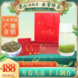 2023年新茶発売亀山都雲毛尖120g緑茶箱入り明前芽原産特級貴州茶