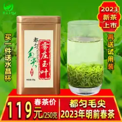 【半斤パック】緑茶 貴州都雲毛尖 2023年新茶 明前 バルク香りタイプ 手煎緑茶