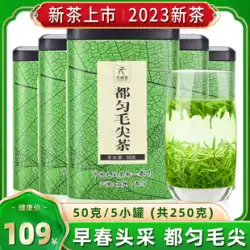 Duyun Maojian Tea 2023 新茶特別な本物の貴州高山緑茶 Mingqian 春茶濃い味のお茶 250 グラム