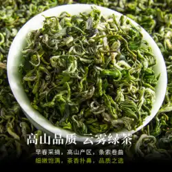新茶発売 2023 春茶 緑茶 バルク 明前貴州都雲毛尖茶 500g 山栗茶