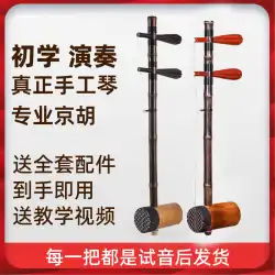 プロの景湖楽器、古い紫竹の細いナツメの木軸、Xipi 二黄胡琴、オプションのチューニング ドア