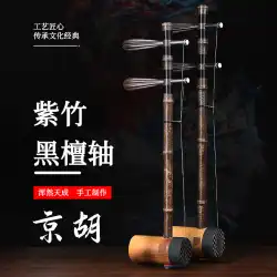 Zhengyintang Jinghu 楽器メーカー直販中高年向けプロ演奏 Zizhu Xipi Erhuang Jinghu