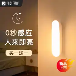 人体誘導ライトストリップ LED ナイトライトワイヤレス充電キャビネットライト寝室のワードローブキッチンランプチューブスマートライト