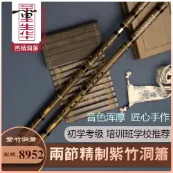 Dongxiao 8 穴 2 セクションフルート、初級試験、プロの演奏、古材 Zizhuxiao 楽器、大人の入門レベルのゼロ基礎