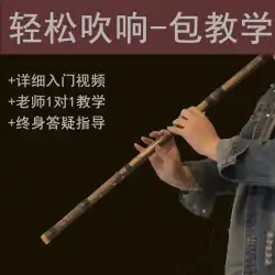 Dongxiao 楽器初心者エントリープロフェッショナル F Zizhu 6 古代スタイル 8 穴 G キー翡翠ショート Xiao 縦笛指導 Nanjiu
