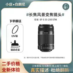 中古/Canon 55250 二代目 EF55-250STM ズーム手ぶれ補正 M50 一眼レフカメラ 200D 望遠レンズ