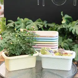 緑の大根植木鉢長方形プラスチック壁掛け野菜多肉植物鉢植えバルコニー野菜ポット自動吸水フラワートレイ